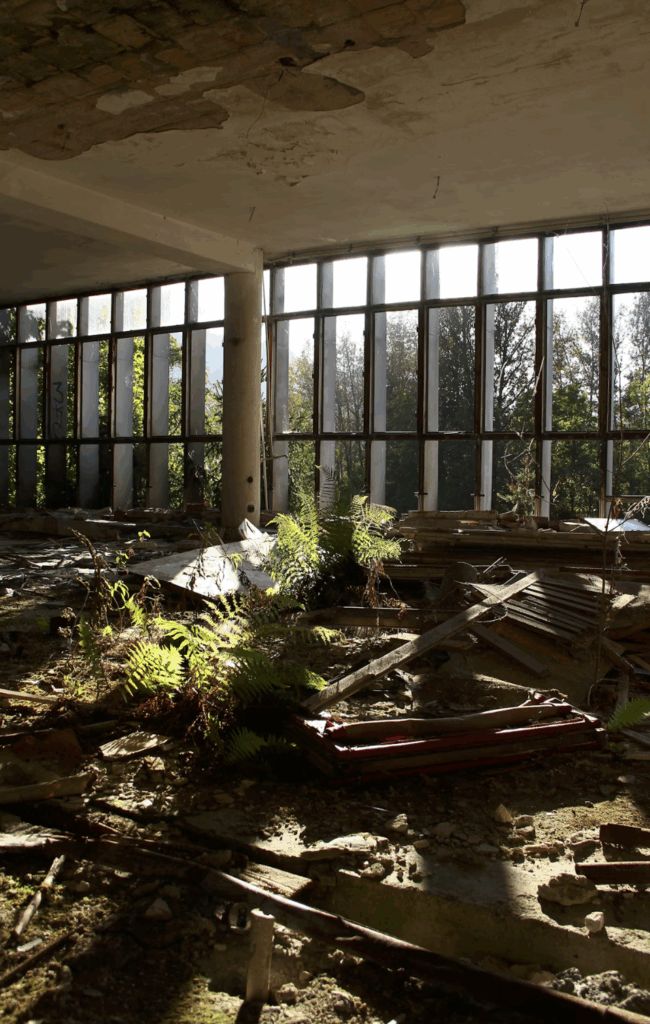 Abandoned building with debris and plants growing inside.