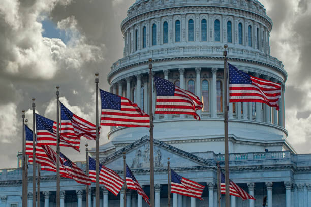 Multiple American flags waving near the U.S. Capitol dome.